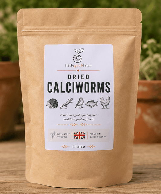 Dried Calciworms