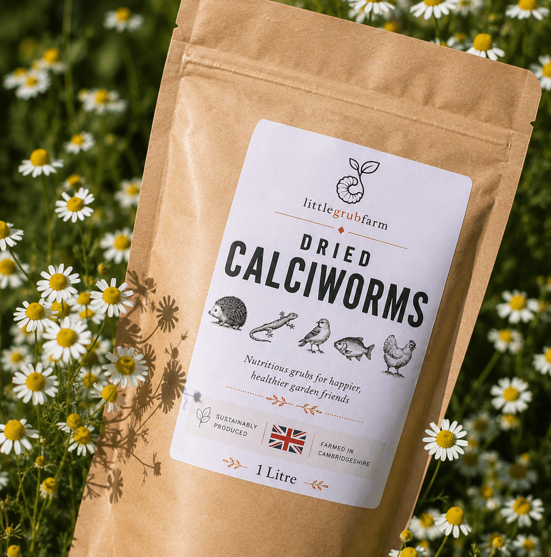 Dried Calciworms