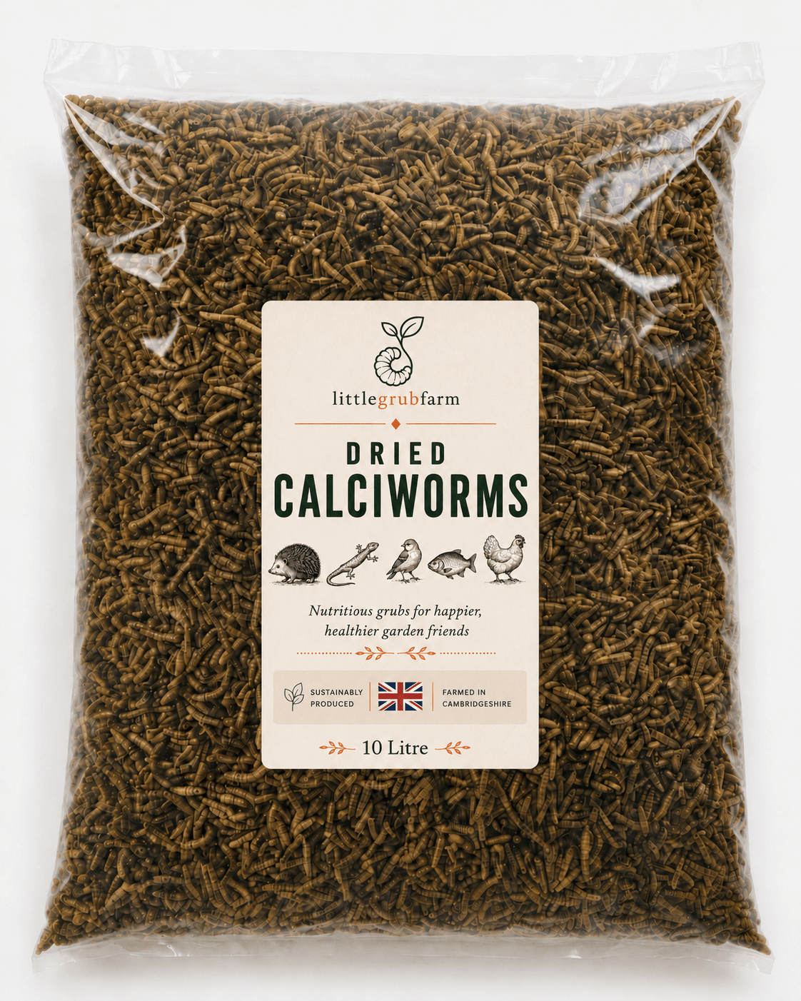 Dried Calciworms