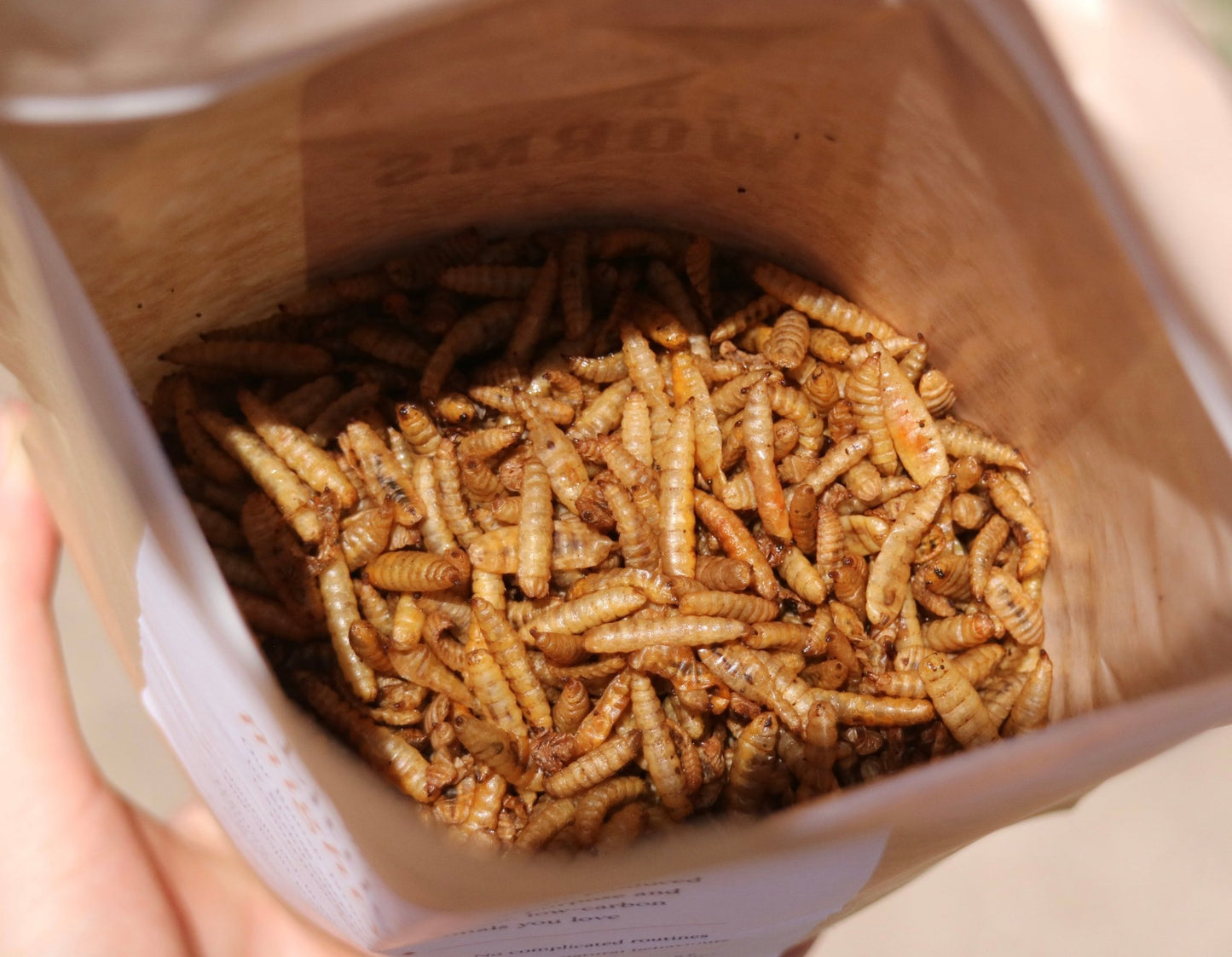 Dried Calciworms